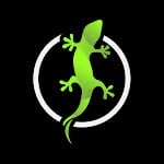 Jaszczur Podróżnik