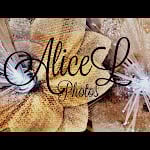 AliceL Travel